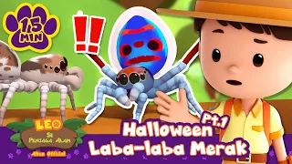 Yuk, menjelajah bersama laba-laba merak! Halloween: Bagian 1 | Leo Si Penjaga Alam | #minisode