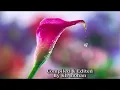 Download Lagu Tamil film song