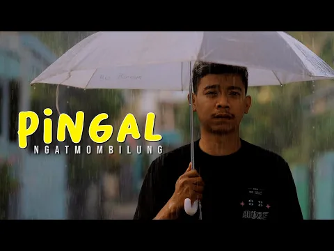 Download MP3 Ngatmombilung - Pingal (Official Music Video)