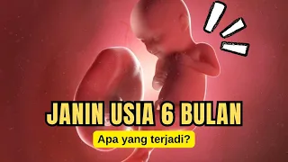 PERKEMBANGAN JANIN DI USIA 6 BULAN