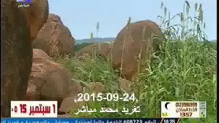 محمود عبد العزيز ونادر خضر ننساك انت انت بتنسى تغريد محمد 