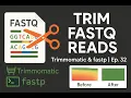 Trimming FASTQ Reads RNA-Seq Preprocessing with Trimmomatic fastp Ep 32