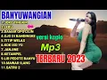 Download Lagu joko tingkir full album versi koplo mantap