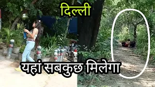 delhi 