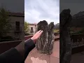Sinagua plaza Part 2 in Sedona AZ