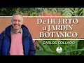 Download Lagu El JARDÍN que NACIÓ en medio del DESIERTO de PLÁSTICO | Carlos Collado