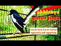 Download Lagu siulan kacer tipe \