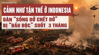 Cảnh như tận thế ở Indonesia, người dân “sống dở chết dở” bị “đầu độc”