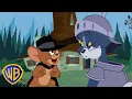 Download Lagu Tom and Jerry EPIC Fantasy Adventures! 🦄✨ | Tom \u0026 Jerry | #kidscartoons @wbkids​