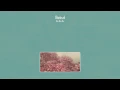 Beirut - No No No (Official Audio)