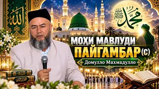 МОХИ МАВЛУДИ ПАЙГАМБАР (С) ДОМУЛЛО МАХМАДУЛЛО 2026
