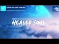 DJ Striden \u0026 DJ Spyroof - Healed Soul