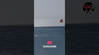 السبب الرئيسي لانتشار إشاعات انحسار مياه بحر الإسكندرية محافظة الاسكندرية تركاية وحكاية مع مراد 