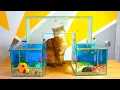 SpongeBob Bikini Bottom in Real Life DIY Fish Bridge
