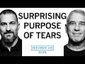 Lagu Why We Cry \u0026 the Evolutionary Purpose of Tears | Dr. Noam Sobel \u0026 Dr. Andrew Huberman