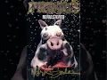 Primus - DMV 1993 Remastered