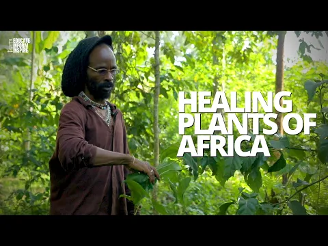 Download MP3 African Herbalist Shows Us Medicinal Plants And Herbs That Protect, Heal, And Restore The Body