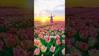 تلاوة ممتعة للآية 17 18 من سورة التغابن 