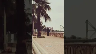 الأولاد ثمرات القلوب | د.احمد الوائلي