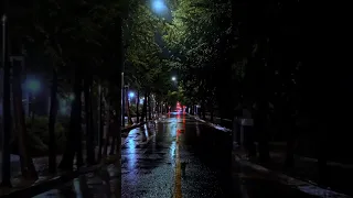 طريق رضاك متجهي ونور هداك معتصمي حالات واتس اب اناشيد اسلامية فيديوهات دينية قصيرة اكسبلور 