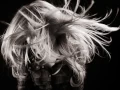 Download Lagu Whole Lotta Love (Dirty Funker Remix)