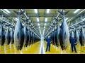 Download Lagu How Millions Of Giant Tuna Are Caught And Processed Into Canned Tuna - Processing Factory