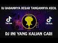 DJ BADANNYA BESAR TANGANNYA KECIL REMIX VIRAL TIKTOK TERBARU 2022 || DJ Mr. Popolo