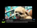 Verizon FiOS TV channel surfing 2016