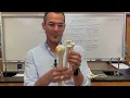 Appendicular skeleton bony landmarks of upper and lower extremity