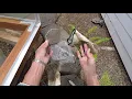 Harbor Freight Greenhouse Panel Clips