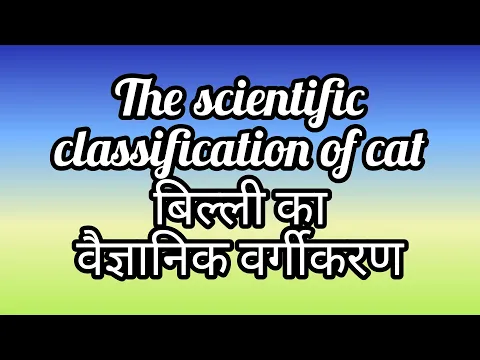 Download MP3 Cat - Scientific classification and scientific name
