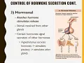 Chapter 17 Endocrine System