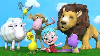 أغنية بم بم حيوانات قناة وناسة كوكو 