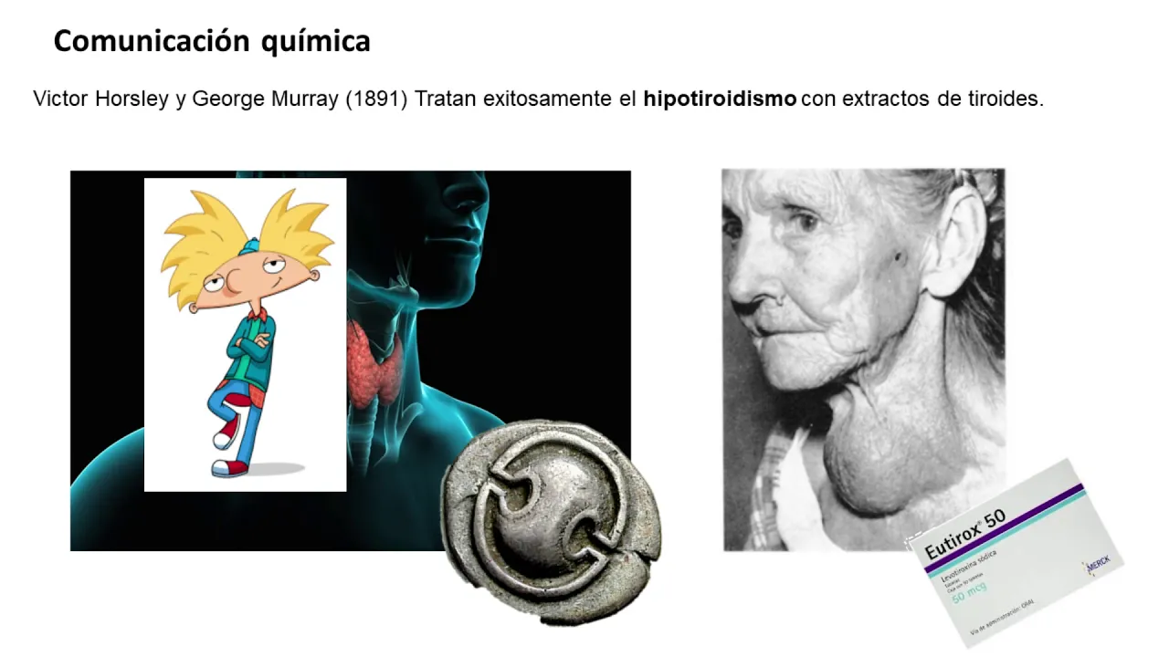 Clase N°3 Anatomía y Fisiología Comparada