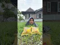 Download Lagu Bocil Buka Jajan Dapat Hadiah 100 Ribu Dollar #jajan #ciki #dramabocil #hadiah #uang #dollar