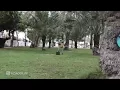 طارق الحربي - ارحب بشكل ثاني |فيديو كليب 2018