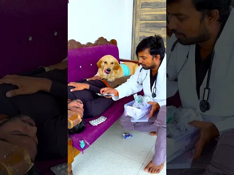 क्या करके मेरे डॉगी ने मुझे बचाया😱 #funnydogs #shorts