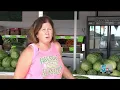 Rocky Ford melons proving to be a sweet success this summer