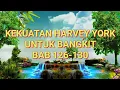 Download Lagu KEKUATAN HARVEY YORK UNTUK BANGKIT // BAB 126-130 #novel