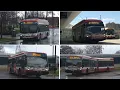 TTC Buses in Toronto Spring 2026