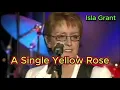 Download Lagu A Single Yellow Rose - Isla Grant (with lyrics and photos)