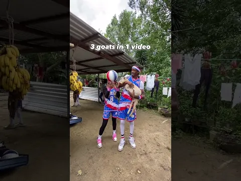 3 goats in 1 video! 🐐💥 #HarlemGlobetrotters #basketball #fyp