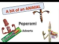 1993-2019 Peperami Animal Advert Compilation - MASSIVE