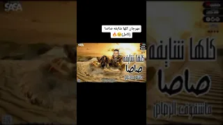 مهرجان كلها شيفا صاصا             دندنها