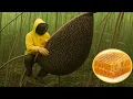 Download Lagu Unbelievable Million Dollar Skill — Collecting Giant Wild Bee Nest with Bare Hands