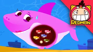 shark have no bellybutton baby shark redmon