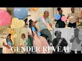 Lagu OUR GENDER REVEAL VLOG| GIRL💕 or BOY 💙