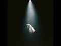 Ariana Grande - twilight zone (Audio)