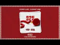 Chris Lake, Sammy Virji - 925 [TALON REMIX]