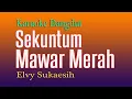 Download Lagu Sekuntum Mawar Merah - Elvy Sukaesih  - Karaoke Dangdut Sepanjang Masa